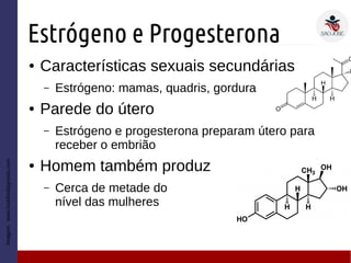 Estrógeno e Progesterona
● Características sexuais secundárias
– Estrógeno: mamas, quadris, gordura
● Parede do útero
– Estrógeno e progesterona preparam útero para
receber o embrião
● Homem também produz
– Cerca de metade do
nível das mulheres
Imagem:www.lookfordiagnosis.com
 