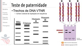 ©
Teste de paternidade
•Trechos de DNA VTNR
• número variável de repetições em sequência
Prof. Kyoshi Beraldo
©
#05
Biomol
Bactéria
Enzima
restrição
Eletrofor.
Paternid.
Vetores
Transgenia
 