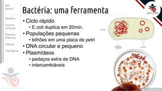 ©
Bactéria: uma ferramenta
• Ciclo rápido
• E.coli duplica em 20min.
• Populações pequenas
• bilhões em uma placa de petri
• DNA circular e pequeno
• Plasmídeos
• pedaços extra de DNA
• intercambiáveis
Prof. Kyoshi Beraldo
©
#05
Biomol
Bactéria
Enzima
restrição
Eletrofor.
Paternid.
Vetores
Transgenia
 