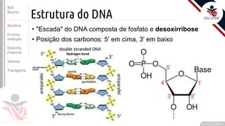 ©
Estrutura do DNA
• "Escada" do DNA composta de fosfato e desoxirribose
• Posição dos carbonos: 5' em cima, 3' em baixo
Prof. Kyoshi Beraldo
©
#05
Biomol
Bactéria
Enzima
restrição
Eletrofor.
Paternid.
Vetores
Transgenia
 
