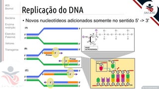©
Replicação do DNA
• Novos nucleotídeos adicionados somente no sentido 5' -> 3'
Prof. Kyoshi Beraldo
©
#05
Biomol
Bactéria
Enzima
restrição
Eletrofor.
Paternid.
Vetores
Transgenia
 