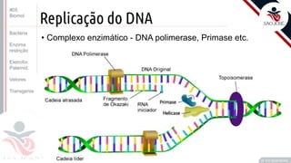 ©
Replicação do DNA
• Complexo enzimático - DNA polimerase, Primase etc.
Prof. Kyoshi Beraldo
©
#05
Biomol
Bactéria
Enzima
restrição
Eletrofor.
Paternid.
Vetores
Transgenia
 