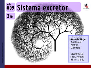 Imagem:seattleautoinjurylaw.com
Sistema excretor
3EM
#09
aula
11/09/2015
Prof. Kyoshi
3EM - CESJ
Aula de Hoje:
• Anatomia
• Néfron
• Controle
 