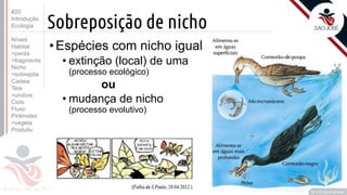 ©
Sobreposição de nicho
•Espécies com nicho igual
• extinção (local) de uma
(processo ecológico)
ou
• mudança de nicho
(processo evolutivo)
Prof. Kyoshi Beraldo
©
#20
Introdução
Ecologia
Níveis
Habitat
>perda
>fragmenta
Nicho
>sobrepõe
Cadeia
Teia
>urubus
Ciclo
Fluxo
Pirâmides
>vegeta
Produtiv.
 