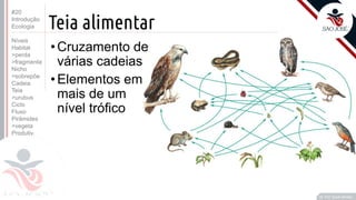 ©
Teia alimentar
•Cruzamento de
várias cadeias
•Elementos em
mais de um
nível trófico
Prof. Kyoshi Beraldo
©
#20
Introdução
Ecologia
Níveis
Habitat
>perda
>fragmenta
Nicho
>sobrepõe
Cadeia
Teia
>urubus
Ciclo
Fluxo
Pirâmides
>vegeta
Produtiv.
 
