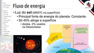 ©
Fluxo de energia
•Luz do sol (5800ºC na superfície)
• Principal fonte de energia do planeta. Constante.
• Só 45% atinge a superfície
• destes, 2% usados
na fotossíntese
Prof. Kyoshi Beraldo
©
#20
Introdução
Ecologia
Níveis
Habitat
>perda
>fragmenta
Nicho
>sobrepõe
Cadeia
Teia
>urubus
Ciclo
Fluxo
Pirâmides
>vegeta
Produtiv.
 
