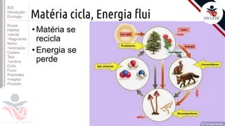 ©
Matéria cicla, Energia flui
•Matéria se
recicla
•Energia se
perde
Prof. Kyoshi Beraldo
©
#20
Introdução
Ecologia
Níveis
Habitat
>perda
>fragmenta
Nicho
>sobrepõe
Cadeia
Teia
>urubus
Ciclo
Fluxo
Pirâmides
>vegeta
Produtiv.
 
