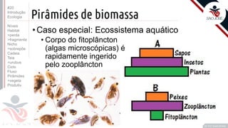 ©
Pirâmides de biomassa
Prof. Kyoshi Beraldo
©
•Caso especial: Ecossistema aquático
• Corpo do fitoplâncton
(algas microscópicas) é
rapidamente ingerido
pelo zooplâncton
#20
Introdução
Ecologia
Níveis
Habitat
>perda
>fragmenta
Nicho
>sobrepõe
Cadeia
Teia
>urubus
Ciclo
Fluxo
Pirâmides
>vegeta
Produtiv.
 