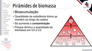 ©
Pirâmides de biomassa
Prof. Kyoshi Beraldo
©
•Bioacumulação
• Quantidade da substância tóxica se
mantém ao longo da cadeia
• Só aumenta a concentração
• Porque diminui a quantidade de
biomassa em C2 e C3
#20
Introdução
Ecologia
Níveis
Habitat
>perda
>fragmenta
Nicho
>sobrepõe
Cadeia
Teia
>urubus
Ciclo
Fluxo
Pirâmides
>vegeta
Produtiv.
 