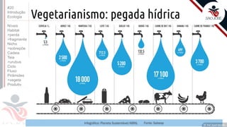 ©
Vegetarianismo: pegada hídrica
Prof. Kyoshi Beraldo
©
#20
Introdução
Ecologia
Níveis
Habitat
>perda
>fragmenta
Nicho
>sobrepõe
Cadeia
Teia
>urubus
Ciclo
Fluxo
Pirâmides
>vegeta
Produtiv.
 