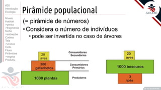 ©
Prof. Kyoshi Beraldo
©
Pirâmide populacional
#20
Introdução
Ecologia
Níveis
Habitat
>perda
>fragmenta
Nicho
>sobrepõe
Cadeia
Teia
>urubus
Ciclo
Fluxo
Pirâmides
>vegeta
Produtiv.
(= pirâmide de números)
•Considera o número de indivíduos
• pode ser invertida no caso de árvores
 