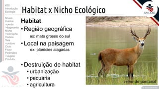 ©
Habitat x Nicho Ecológico
Habitat
•Região geográfica
ex: mato grosso do sul
•Local na paisagem
ex: planícies alagadas
•Destruição de habitat
• urbanização
• pecuária
• agricultura Prof. Kyoshi Beraldo
©
cervo-do-pantanal
#20
Introdução
Ecologia
Níveis
Habitat
>perda
>fragmenta
Nicho
>sobrepõe
Cadeia
Teia
>urubus
Ciclo
Fluxo
Pirâmides
>vegeta
Produtiv.
 