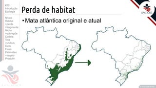 ©
Perda de habitat
•Mata atlântica original e atual
Prof. Kyoshi Beraldo
©
#20
Introdução
Ecologia
Níveis
Habitat
>perda
>fragmenta
Nicho
>sobrepõe
Cadeia
Teia
>urubus
Ciclo
Fluxo
Pirâmides
>vegeta
Produtiv.
 