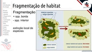 ©
Fragmentação de habitat
Fragmentação
+ spp. borda
- spp. interior
extinção local de
espécies
Prof. Kyoshi Beraldo
©
#20
Introdução
Ecologia
Níveis
Habitat
>perda
>fragmenta
Nicho
>sobrepõe
Cadeia
Teia
>urubus
Ciclo
Fluxo
Pirâmides
>vegeta
Produtiv.
 