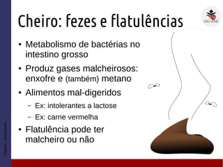 Cheiro: fezes e flatulências
● Metabolismo de bactérias no
intestino grosso
● Produz gases malcheirosos:
enxofre e (também) metano
● Alimentos mal-digeridos
– Ex: intolerantes a lactose
– Ex: carne vermelha
● Flatulência pode ter
malcheiro ou não
Imagem:pixabay.com
 