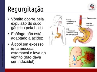 Regurgitação
● Vômito ocorre pela
expulsão do suco
gástrico pela boca
● Esôfago não está
adaptado a acidez
● Álcool em excesso
irrita mucosa
estomacal e leva ao
vômito (não deve
ser induzido!)
Imagem:www.suggestkeyword.com
 