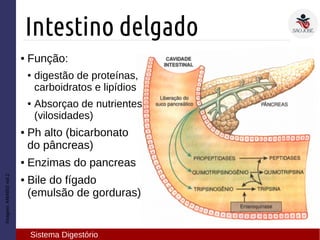 Imagem:AMABISvol.2
Intestino delgado
Sistema Digestório
● Função:
● digestão de proteínas,
carboidratos e lipídios
● Absorçao de nutrientes
(vilosidades)
● Ph alto (bicarbonato
do pâncreas)
● Enzimas do pancreas
● Bile do fígado
(emulsão de gorduras)
 