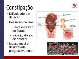 Constipação
● Dificuldade em
defecar
● Possíveis causas:
– Baixa ingestão
de fibras
– Inibição do ato
de defecar
● Massa fecal é
desidratada
progressivamente
Imagem:www.prontuarioidmed.com.br
 