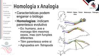 Prof. Kyoshi Beraldo
©
Homologia x Analogia
• Características podem
enganar o biólogo
• Homologias: indicam
parentesco evolutivo
• Ex: humano, ave e
morcego têm mesmos
ossos, mas com funções
diferentes
• Têm parentesco entre si
• Agrupados em Tetrapoda
#14
Ancestralid.
comum
Espécie
>conceito
>especia-
ção
Cladogên.
LUCA
Pokemons
Homologia
Analogia
Filogenias
Cladistica
 