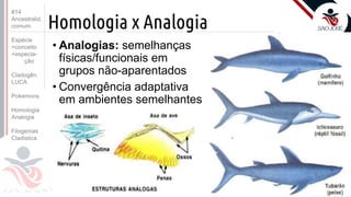 Prof. Kyoshi Beraldo
©
Homologia x Analogia
• Analogias: semelhanças
físicas/funcionais em
grupos não-aparentados
• Convergência adaptativa
em ambientes semelhantes
#14
Ancestralid.
comum
Espécie
>conceito
>especia-
ção
Cladogên.
LUCA
Pokemons
Homologia
Analogia
Filogenias
Cladistica
 