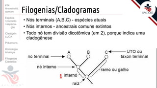 Prof. Kyoshi Beraldo
©
Filogenias/Cladogramas
• Nós terminais (A,B,C) - espécies atuais
• Nós internos - ancestrais comuns extintos
• Todo nó tem divisão dicotômica (em 2), porque indica uma
cladogênese
#14
Ancestralid.
comum
Espécie
>conceito
>especia-
ção
Cladogên.
LUCA
Pokemons
Homologia
Analogia
Filogenias
Cladistica
 