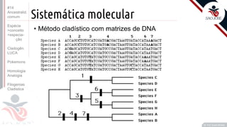 Prof. Kyoshi Beraldo
©
Sistemática molecular
• Método cladístico com matrizes de DNA
#14
Ancestralid.
comum
Espécie
>conceito
>especia-
ção
Cladogên.
LUCA
Pokemons
Homologia
Analogia
Filogenias
Cladistica
 