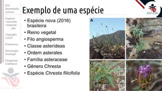 Prof. Kyoshi Beraldo
©
Exemplo de uma espécie
• Espécie nova (2016)
brasileira
• Reino vegetal
• Filo angiosperma
• Classe asterídeas
• Ordem asterales
• Família asteraceae
• Gênero Chresta
• Espécie Chresta filicifolia
#14
Ancestralid.
comum
Espécie
>conceito
>especia-
ção
Cladogên.
LUCA
Pokemons
Homologia
Analogia
Filogenias
Cladistica
 
