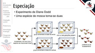 Prof. Kyoshi Beraldo
©
Especiação
• Experimento de Diane Dodd
• Uma espécie de mosca torna-se duas
#14
Ancestralid.
comum
Espécie
>conceito
>especia-
ção
Cladogên.
LUCA
Pokemons
Homologia
Analogia
Filogenias
Cladistica
 