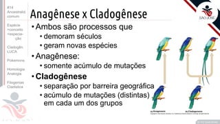 Prof. Kyoshi Beraldo
©
Anagênese x Cladogênese
•Ambos são processos que
• demoram séculos
• geram novas espécies
•Anagênese:
• somente acúmulo de mutações
•Cladogênese
• separação por barreira geográfica
• acúmulo de mutações (distintas)
em cada um dos grupos
#14
Ancestralid.
comum
Espécie
>conceito
>especia-
ção
Cladogên.
LUCA
Pokemons
Homologia
Analogia
Filogenias
Cladistica
 