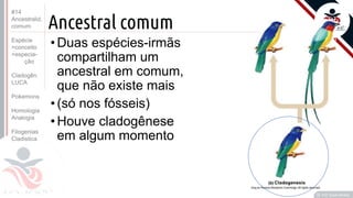 Prof. Kyoshi Beraldo
©
Ancestral comum
•Duas espécies-irmãs
compartilham um
ancestral em comum,
que não existe mais
•(só nos fósseis)
•Houve cladogênese
em algum momento
#14
Ancestralid.
comum
Espécie
>conceito
>especia-
ção
Cladogên.
LUCA
Pokemons
Homologia
Analogia
Filogenias
Cladistica
 