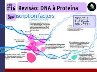 Imagem: https://upload.wikimedia.org
Revisão: DNA à Proteína
3EM
#16
aula
05/11/2015
Prof. Kyoshi
3EM - CESJ
 