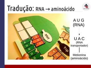 Tradução: RNA aminoácido→
A U G
(RNA)
U A C
(RNA
transportador)
Metionina
(aminoácido)
 