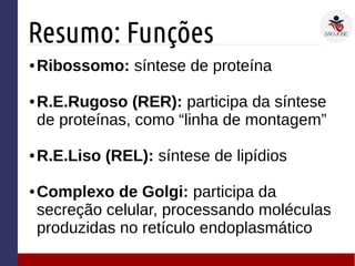 Resumo: Funções
● Ribossomo: síntese de proteína
● R.E.Rugoso (RER): participa da síntese
de proteínas, como “linha de montagem”
● R.E.Liso (REL): síntese de lipídios
● Complexo de Golgi: participa da
secreção celular, processando moléculas
produzidas no retículo endoplasmático
 