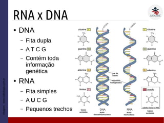 RNA x DNA
Imagem:www.sobiologia.com.br
● DNA
– Fita dupla
– A T C G
– Contém toda
informação
genética
● RNA
– Fita simples
– A U C G
– Pequenos trechos
 
