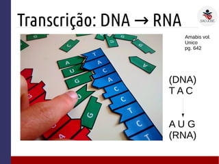 Transcrição: DNA RNA→
(DNA)
T A C
A U G
(RNA)
Amabis vol.
Unico
pg. 642
 