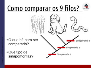 Como comparar os 9 filos?
● O que há para ser
comparado?
● Que tipo de
sinapomorfias?
Imagem:www.atividadesparacolorir.com.br
Sinapomorfia 1
Sinapomorfia 2
Sinapomorfia 3
 