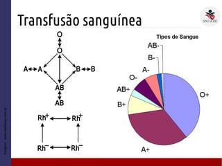 Transfusão sanguínea
Imagem:www.esteticas.com.br
 
