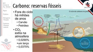 ©
Carbono: reservas fósseis
• Fora do ciclo
há mihões
de anos
• Carvão
• Petróleo
• CO2
extra na
atmosfera
• 0,0290%
+um terço
• 0,0375%
Prof. Kyoshi Beraldo
©
#21
Ciclos &
Aq. Global
Água
Fósforo
Nitrogenio
>fixação
Carbono
>fósseis
>estufa
 