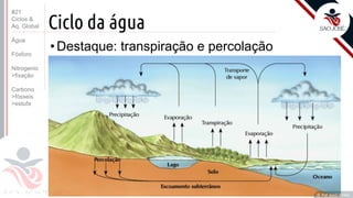 ©
Ciclo da água
•Destaque: transpiração e percolação
Prof. Kyoshi Beraldo
©
#21
Ciclos &
Aq. Global
Água
Fósforo
Nitrogenio
>fixação
Carbono
>fósseis
>estufa
 