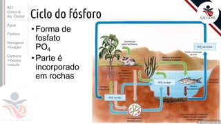 ©
Ciclo do fósforo
•Forma de
fosfato
PO4
•Parte é
incorporado
em rochas
Prof. Kyoshi Beraldo
©
#21
Ciclos &
Aq. Global
Água
Fósforo
Nitrogenio
>fixação
Carbono
>fósseis
>estufa
 