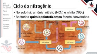 ©
Ciclo do nitrogênio
• No solo há: amônia, nitrato (NO3) e nitrito (NO2)
• Bactérias quimiossintetizantes fazem conversões
Prof. Kyoshi Beraldo
©
#21
Ciclos &
Aq. Global
Água
Fósforo
Nitrogenio
>fixação
Carbono
>fósseis
>estufa
 