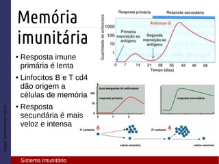 ● Resposta imune
primária é lenta
● Linfocitos B e T cd4
dão origem a
células de memória
● Resposta
secundária é mais
veloz e intensa
Imagem:autoimunes.no.sapo.pt
Memória
imunitária
Sistema Imunitário
 