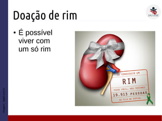 Doação de rim
● É possível
viver com
um só rim
Imagem:liglab.com.br
 