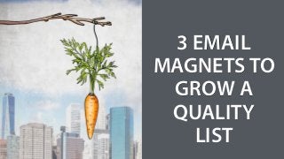 3 EMAIL
MAGNETS TO
GROW A
QUALITY
LIST
 
