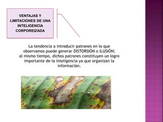 VENTAJAS Y 
LIMITACIONES DE UNA 
INTELIGENCIA 
CORPOREIZADA 
La tendencia a introducir patrones en lo que 
observamos puede generar DISTORSIÓN o ILUSIÓN; 
al mismo tiempo, dichos patrones constituyen un logro 
importante de la inteligencia ya que organizan la 
información. 
 