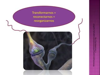 http://3.bp.blogspot.com/_v-ykOgj52Po/ 
TQPm4BliYmI/AAAAAAAAAJk/qUw8TfmkWnY/s320/Synanse.jpg 
Transformarnos = 
reconectarnos = 
reorganizarnos 
 