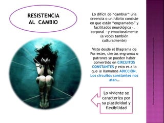 http://3.bp.blogspot.com/_JP5FKTWpbQY/SBUzgd0q6YI/AAAAAAAAAIo/1DkfQIoXa5w/s1600-h/medium_1149298313_f%5B1%5D.jpg 
RESISTENCIA 
AL CAMBIO 
Lo difícil de “cambiar” una 
creencia o un hábito consiste 
en que están “engramados” y 
facilitados neurológica -, 
corporal - y emocionalmente 
(a veces también 
culturalmente) 
Visto desde el Diagrama de 
Forrester, ciertos engramas o 
patrones se pueden haber 
convertido en CIRCUITOS 
CONSTANTES y esto es a lo 
que le llamamos ADICCIÓN. 
Los circuitos constantes nos 
atan… 
Lo viviente se 
caracteriza por 
su plasticidad y 
flexibilidad 
 