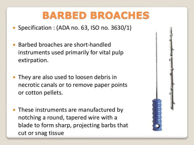 3 endodontic-instruments-oral health rct pptx | PPT