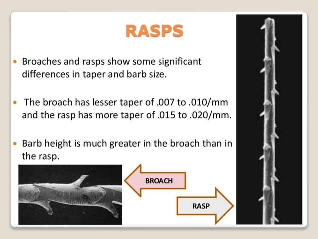 3 endodontic-instruments-oral health rct pptx | PPT