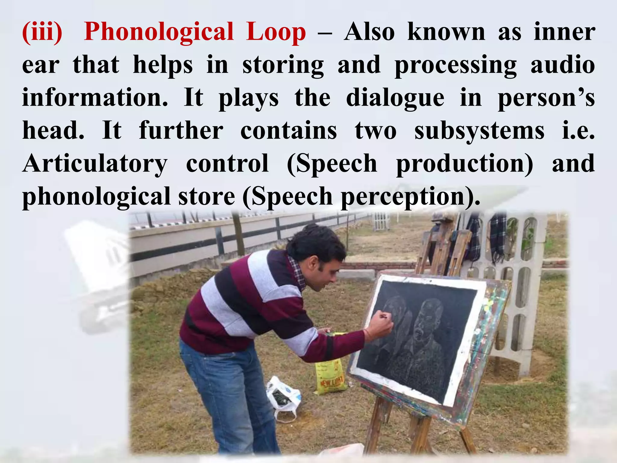 (iii) Phonological Loop – Also known as inner
ear that helps in storing and processing audio
information. It plays the dialogue in person’s
head. It further contains two subsystems i.e.
Articulatory control (Speech production) and
phonological store (Speech perception).
 
